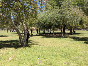 NU students taking pictures in a park in Tijuana. View 1.
